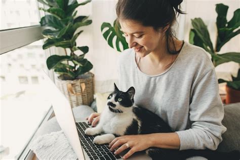 Premium Photo | Casual girl working on laptop with her cat sitting ...