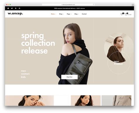 22 Best Fashion Ecommerce Themes for WordPress 2024 - Colorlib