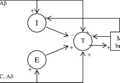 The Basic Architecture of the Gate Control Theory used in the ...