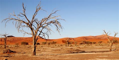 Free Images : tree, wilderness, prairie, valley, sand dune, dry, africa, soil, savanna, plain ...