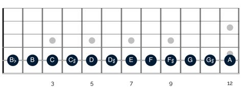 The chromatic scale: what it is & why it matters - Happy Bluesman