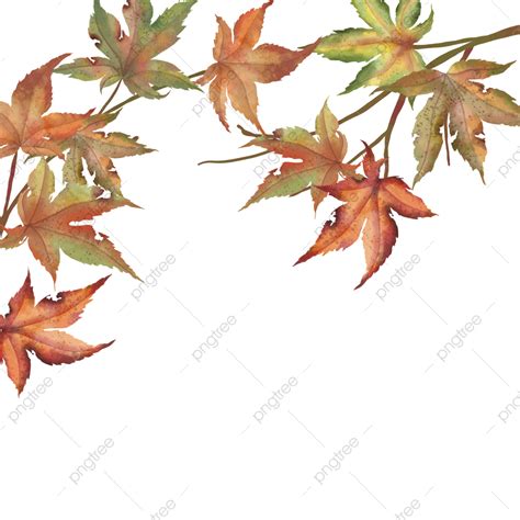 Autumn Maple Tree Branches In Watercolor Drawing, Tree Drawing ...