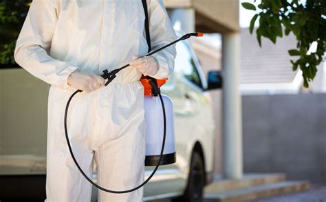 7 Mistakes to Avoid When Hiring Pest Control Services Near Me