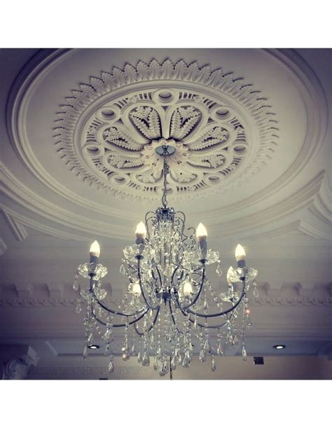 Shop - Victorian Cornice Company | Ceiling design, False ceiling ...