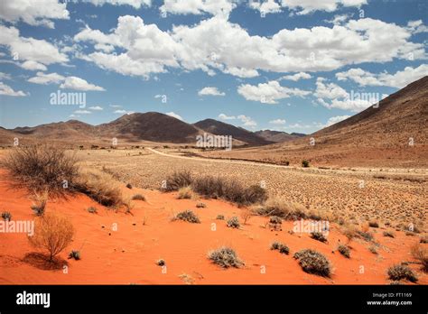 Mountain Vegetation Africa Stock Photos & Mountain Vegetation Africa Stock Images - Alamy