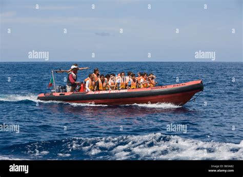 Tourists at Whale watching Tour Azores Atlantic Ocean Portugal Stock Photo - Alamy