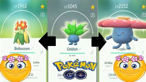 BOTH Oddish Evolutions into Vileplume and into Bellossom in Pokemon GO ...