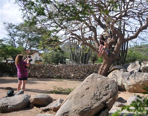 Discover Aruba Island Tour - ARB Shore Excursions | Carnival Cruise Line