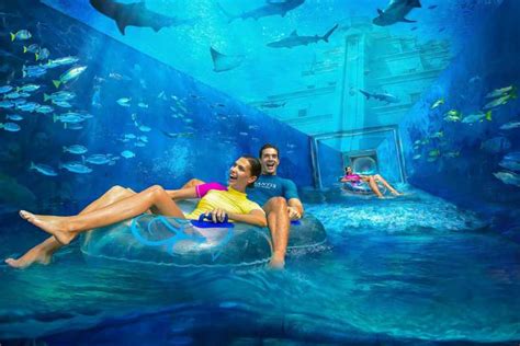 Dubai: Atlantis Aquaventure Waterpark Admission Ticket | GetYourGuide