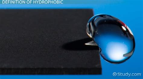 Hydrophobic | Definition, Effect & Examples - Lesson | Study.com