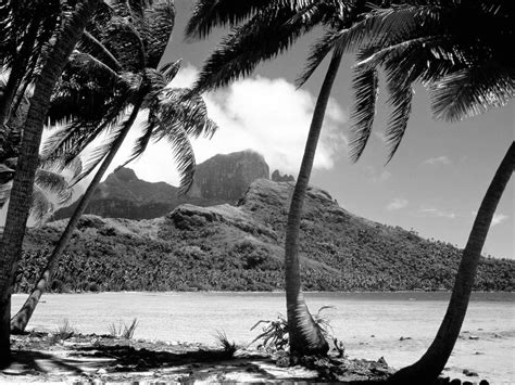 Black and White Beach Wallpaper - WallpaperSafari