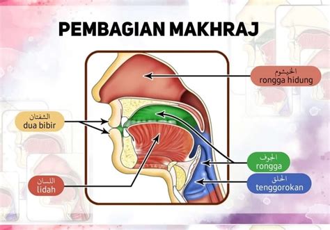 Mengetahui Makharijul Huruf atau Tempat-Tempat Keluarnya Huruf — Sekitar Jabar