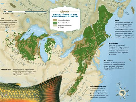 Brook Trout Distribution Map by Jeremy Carlson on Dribbble