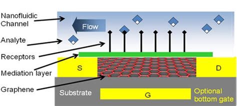 Graphene foam detects explosives, emissions better than today's gas sensors