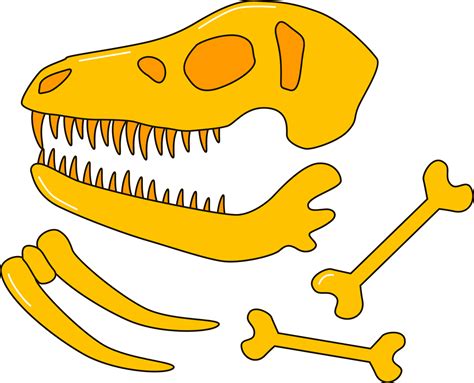 Fossil Clipart