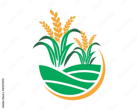 paddy wheat icon agricultural agriculture harvest farming image vector ...