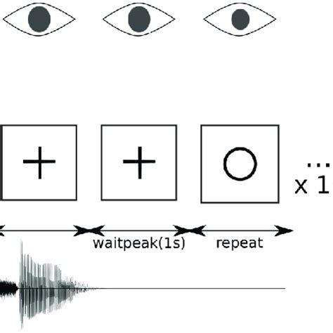 Pupillometry results as a function of TASK and WORD POSITION. All data ...