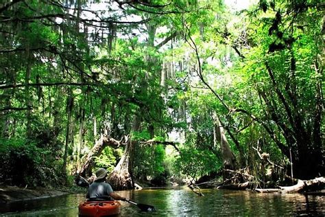 Loxahatchee River Kayak Tour 2024 - West Palm Beach