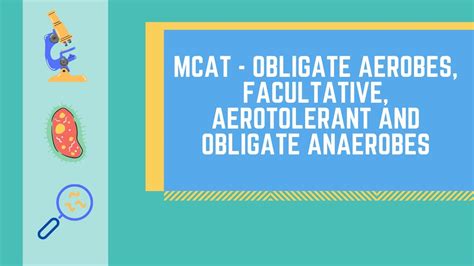 Obligate Aerobes, Obligate Anaerobes, Facultative Anaerobes and Aerotolerant Anaerobes - YouTube