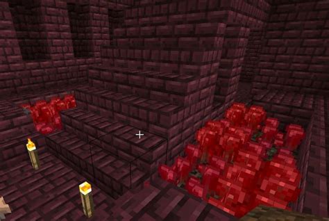 Nether Wart Farm Schematic