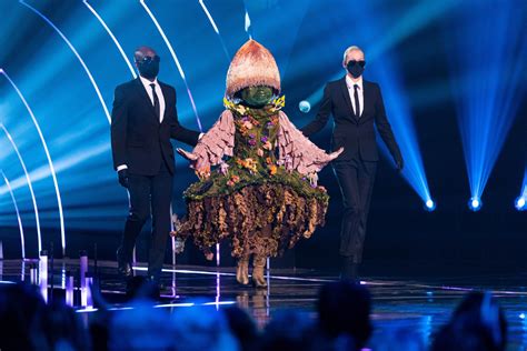 Who is Mushroom on The Masked Singer? Fans reckon it's Irish comedian