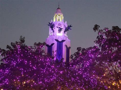 Pin by Chris & Mike . on DISNEYLAND RESORT... | Disneyland resort, Disneyland, Holiday decor