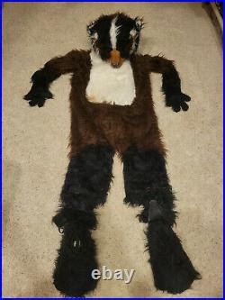 Adult Bucky the Badger Mascot Full Costume Halloween Wisconsin College ...