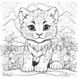 Fluffy Baby  Adult Coloring Book Digital Download 65 Pages Etsy sketch template