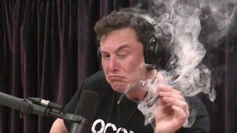 Elon Musk tells employees smoking weed with Joe Rogan was 'not wise ...