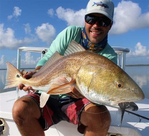 Summer '16 Mosquito Lagoon / Indian River Lagoon Fishing Report | Capt. Jesse Register