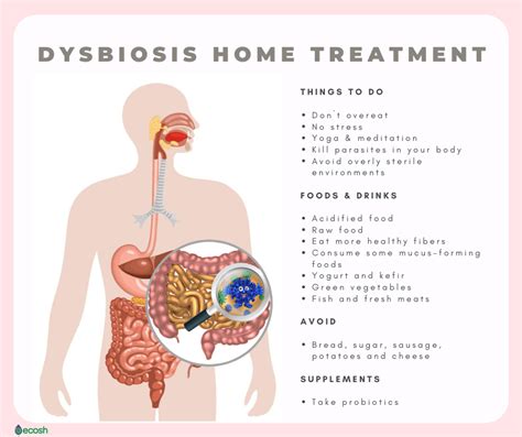 IMBALANCE OF GUT MICROBIOTA (GUT DYSBIOSIS) - Symptoms, Causes, Complications and Natural Treatment