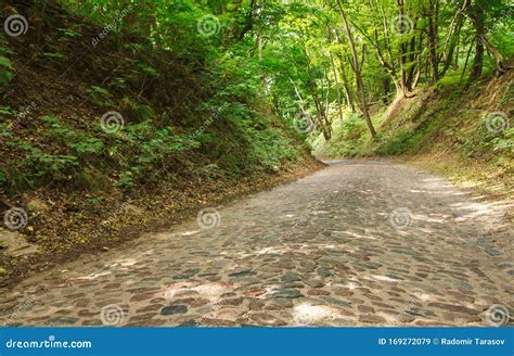 Old Abandoned Paved Road in the Forest Stock Image - Image of path ...