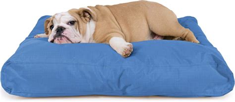 Best Dog Bed for Hip Dysplasia 2022 - Best Dog Bed Reviews