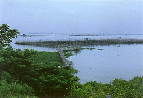 Laguna de Bay (English) | lake