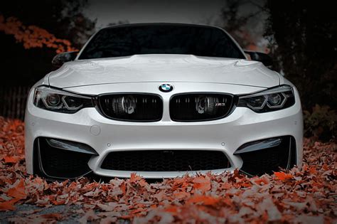 HD wallpaper: BMW, Front, White, Autumn, Face, F80, Sight, Aggressive | Wallpaper Flare