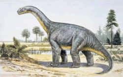 Astrodon Pictures & Facts - The Dinosaur Database