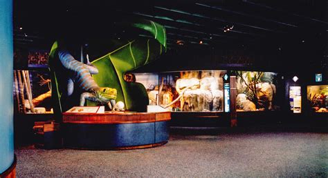 Regenstein Small Mammal-Reptile House - CLR Design