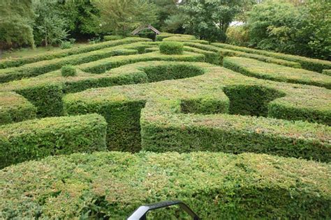 Hedge Maze - Saffron Walden Tourist Information Centre