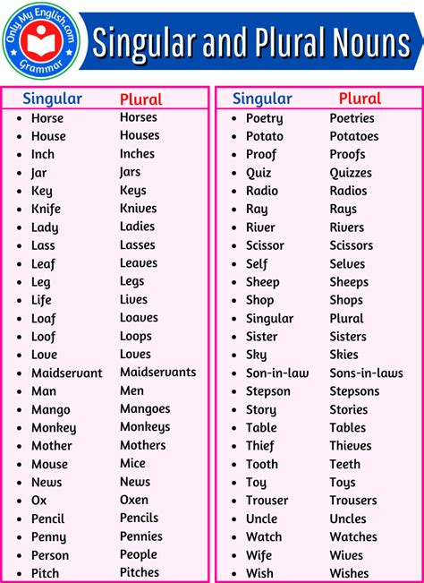 A Huge List of Singular and Plural Nouns words » Onlymyenglish.com