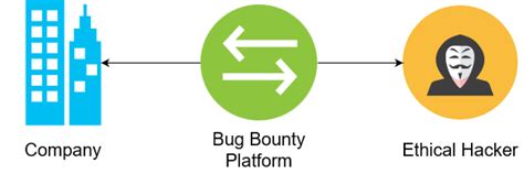 Best Bug Bounty Platforms - Bug Hacking