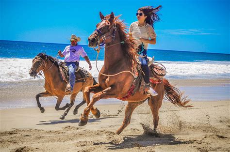 Excursions in Cabo San Lucas - Los Cabos Passport