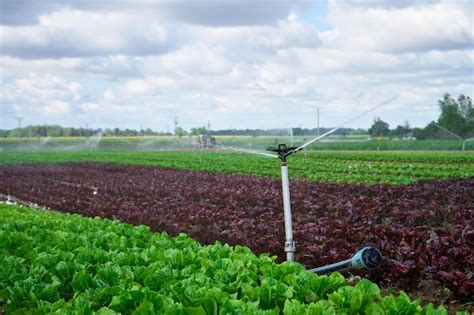 Premium Photo | Sprinkler of irrigation system at field