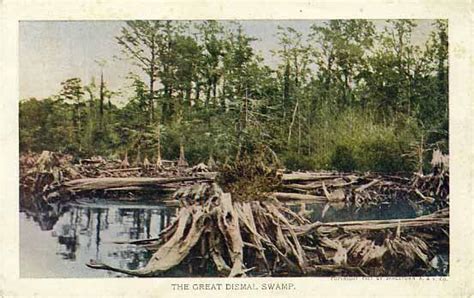 Great Dismal Swamp | NCpedia