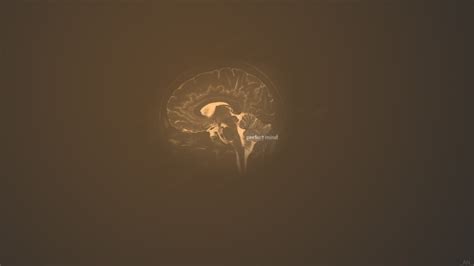 Human brain illustration, simple background, brain HD wallpaper | Wallpaper Flare