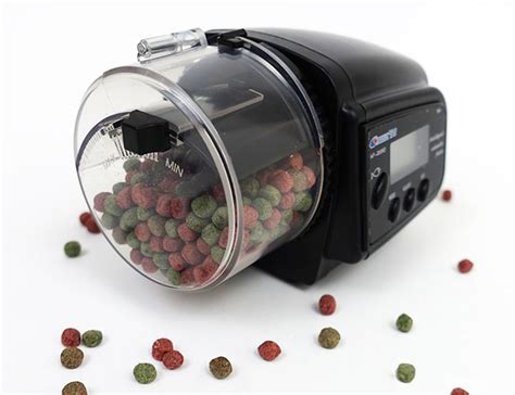 3 Best Automatic Fish Feeders for Easy Feeding (13 Tested!)