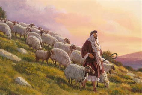 on Shepherds and the sheep that don’t appreciate them – North Heights Church of Christ