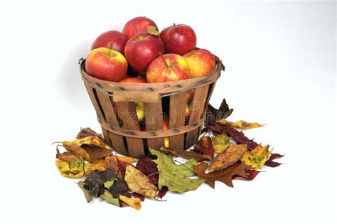 Fall harvest stock image. Image of health, apple, autumn - 11594113