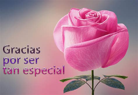 BANCO DE IMÁGENES: Gracias por ser tan especial (Rosa con mensaje para ...