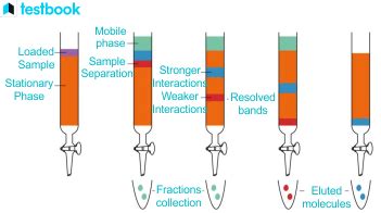 Column Chromatography Principle: Learn Instrumentation and Uses