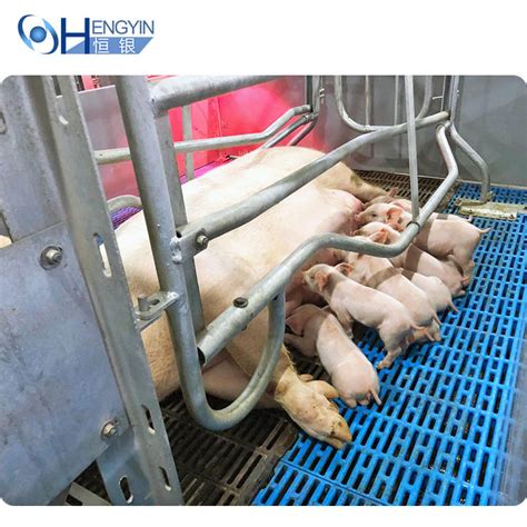 Piggery equipment pig farm piggery house - Aboub B2B Marketplace China